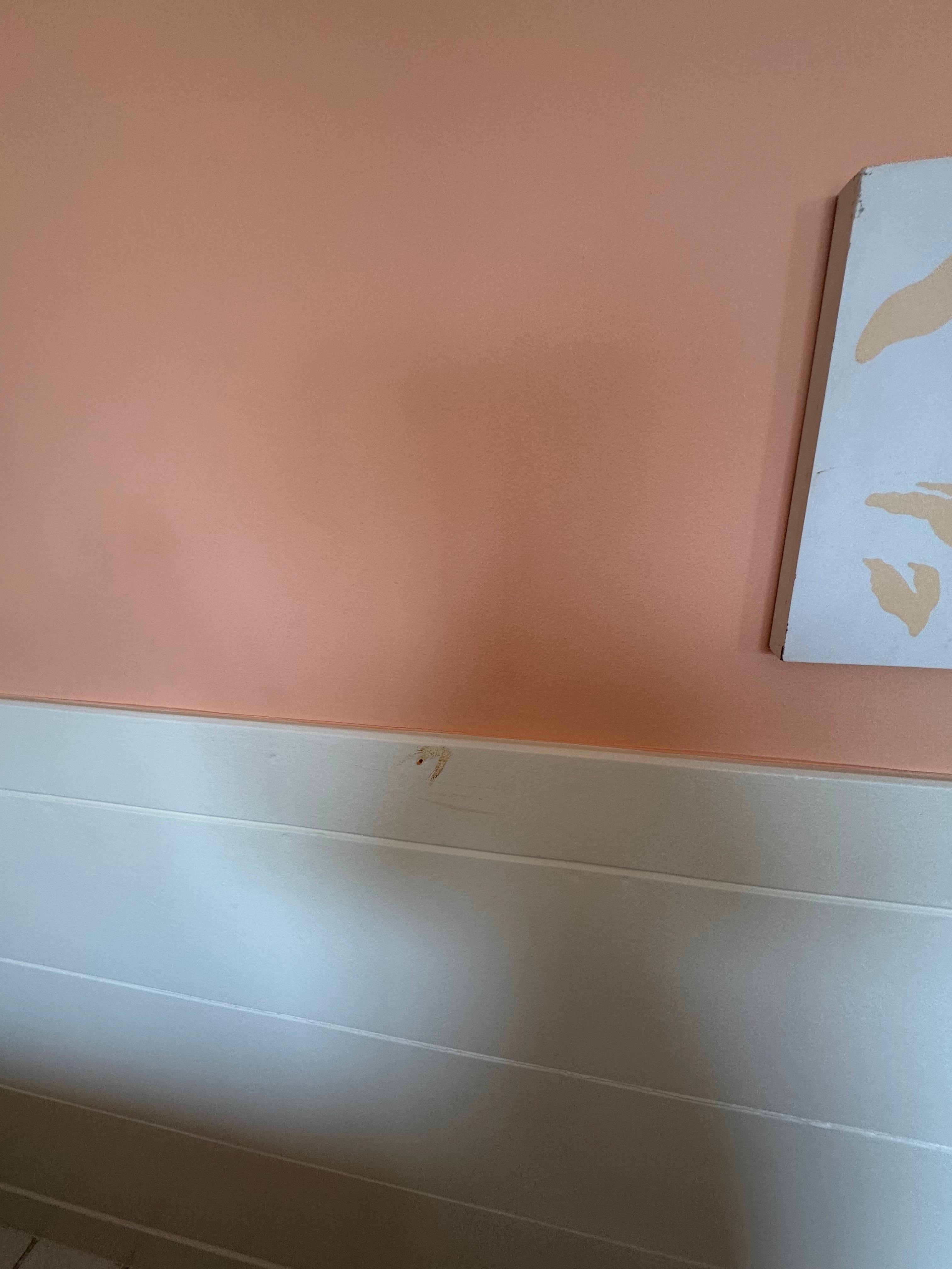 Stains on walls
