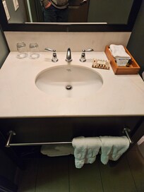 Sink and ants in the room