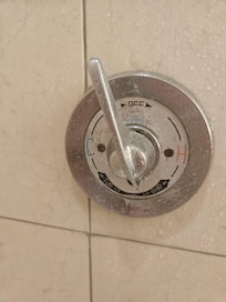 Mold in shower
