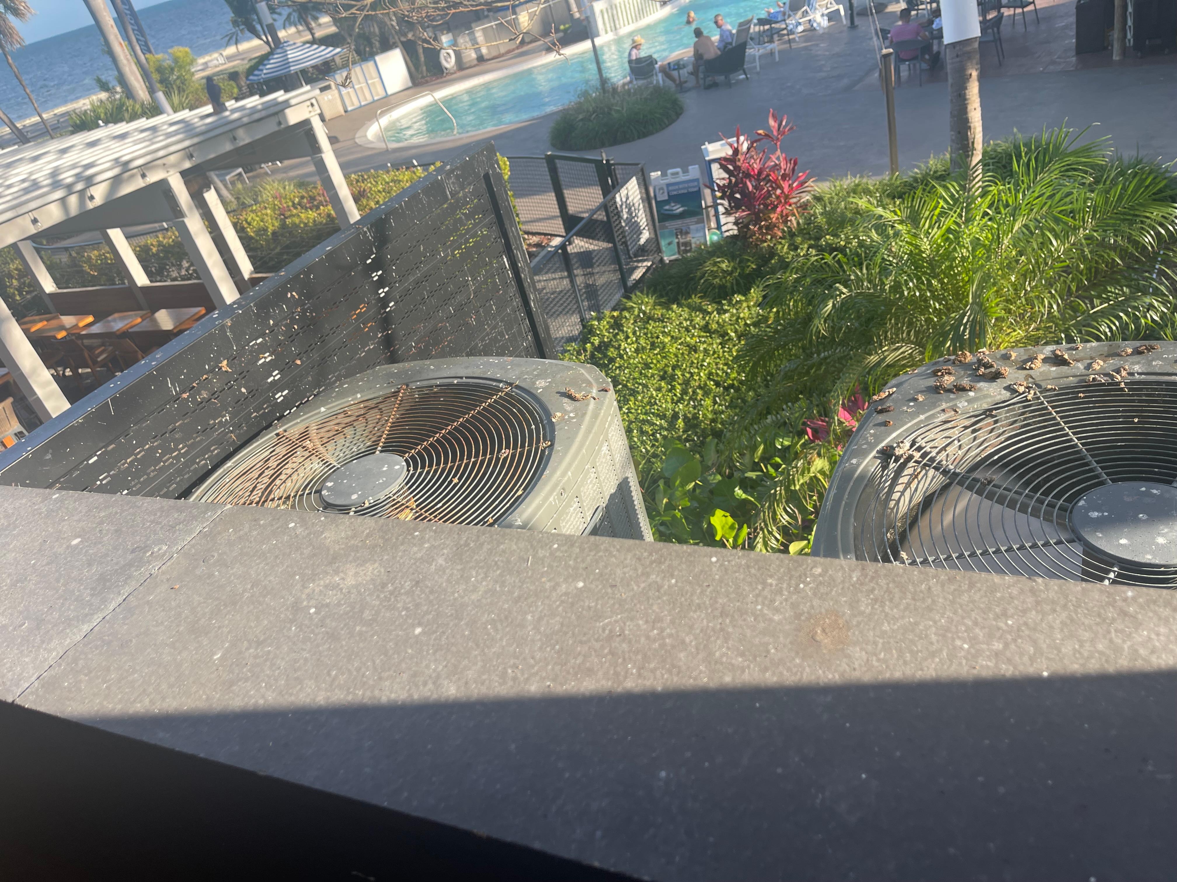 All we saw was bird crap while we ate. NASTY! Doesn't take much to upkeep your property!