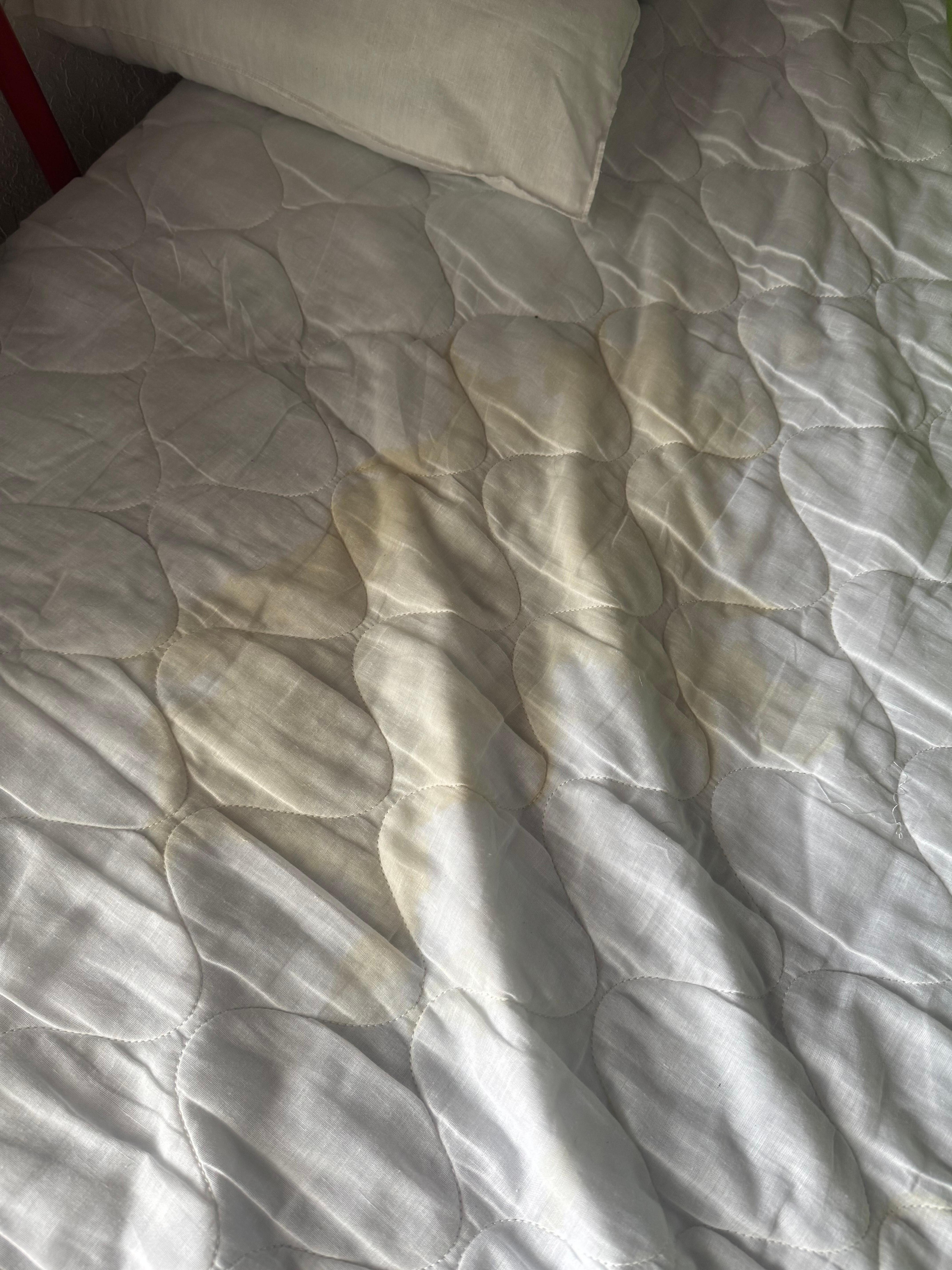 Pee stains 