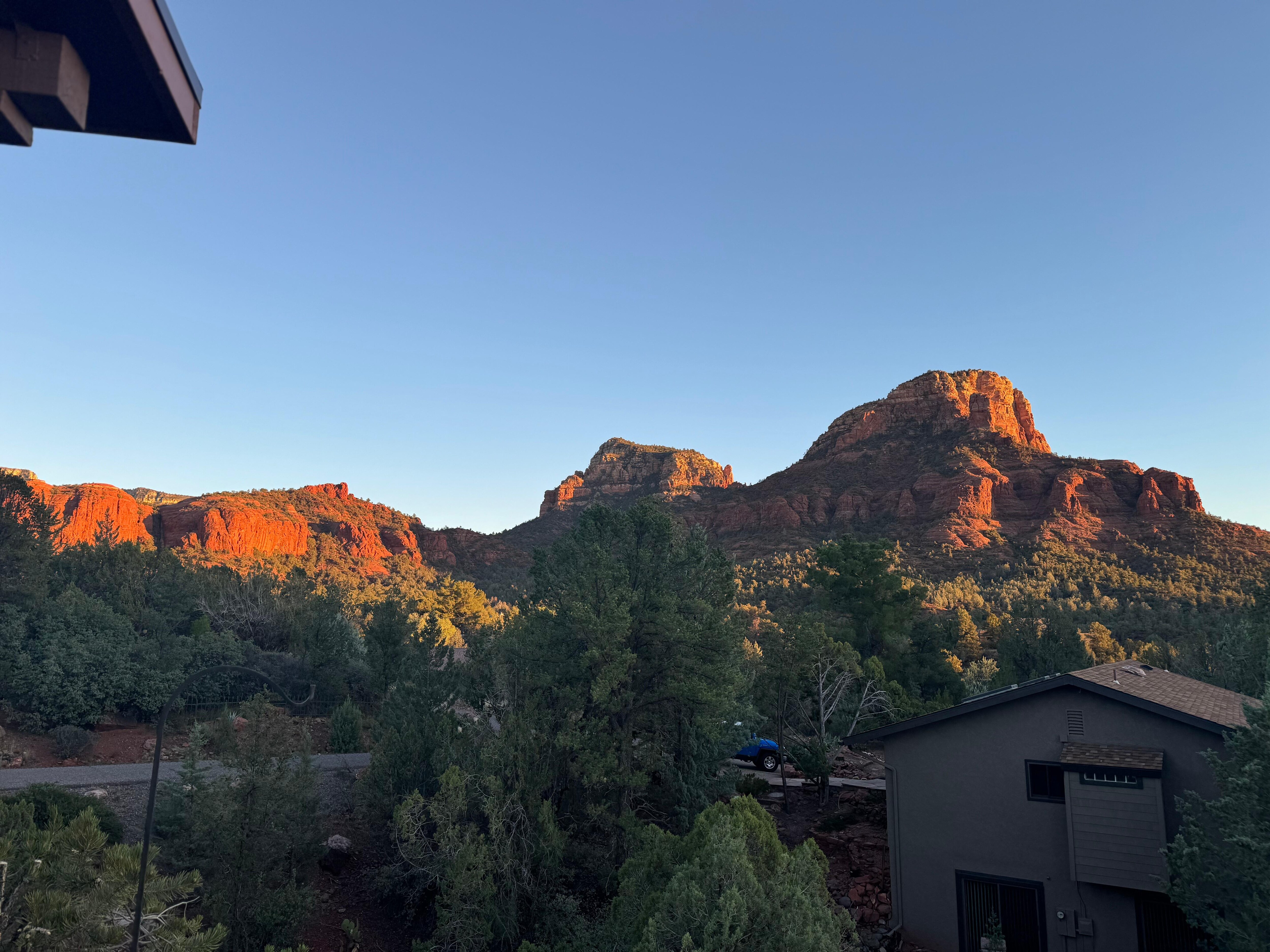 View from back porch. 