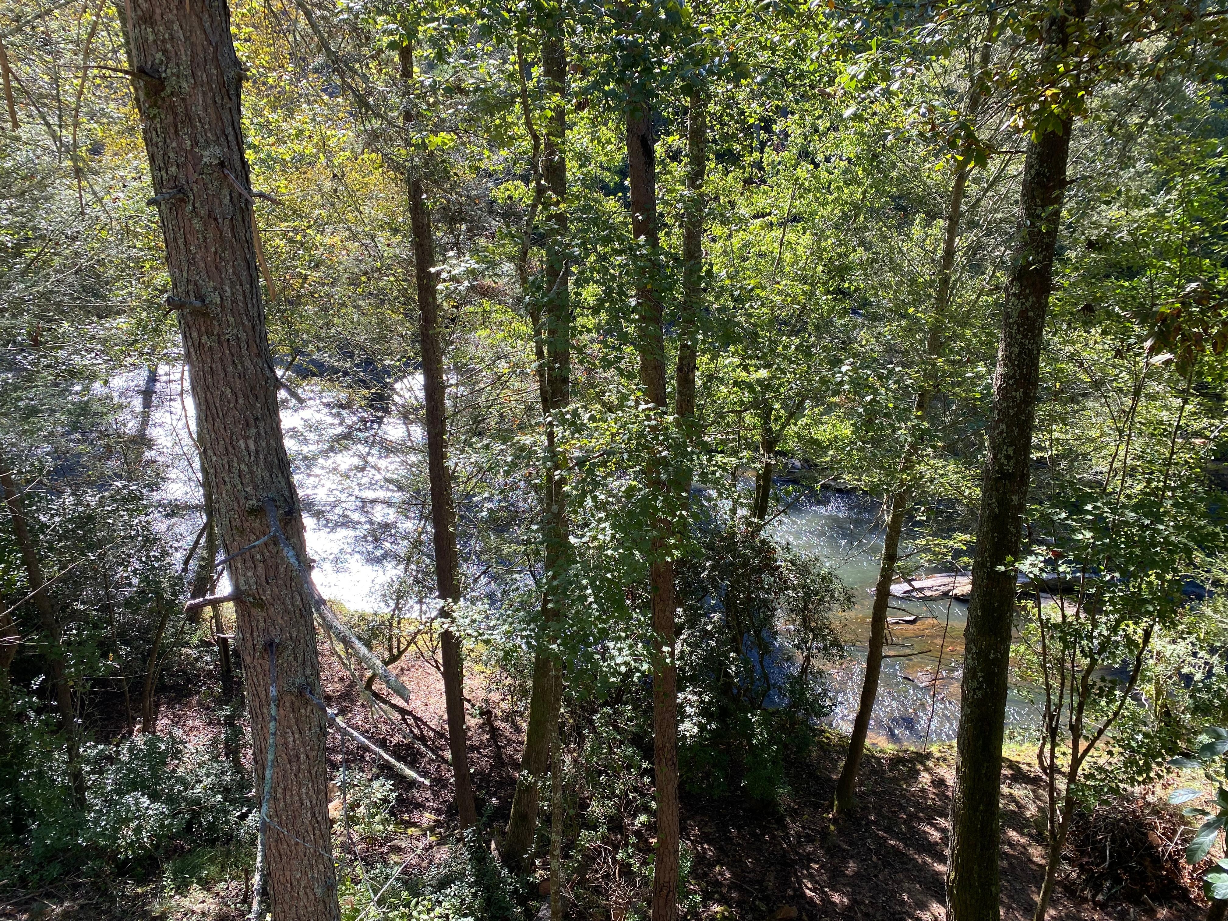 The gentle stream that runs alongside the property adds such a peaceful touch — the sound of the flowing water in the background made every morning and evening feel calm and relaxing.