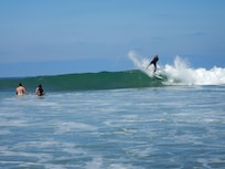 Killer surfing and tourist swimmers alike.