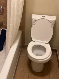 There was old hair next to the toilet