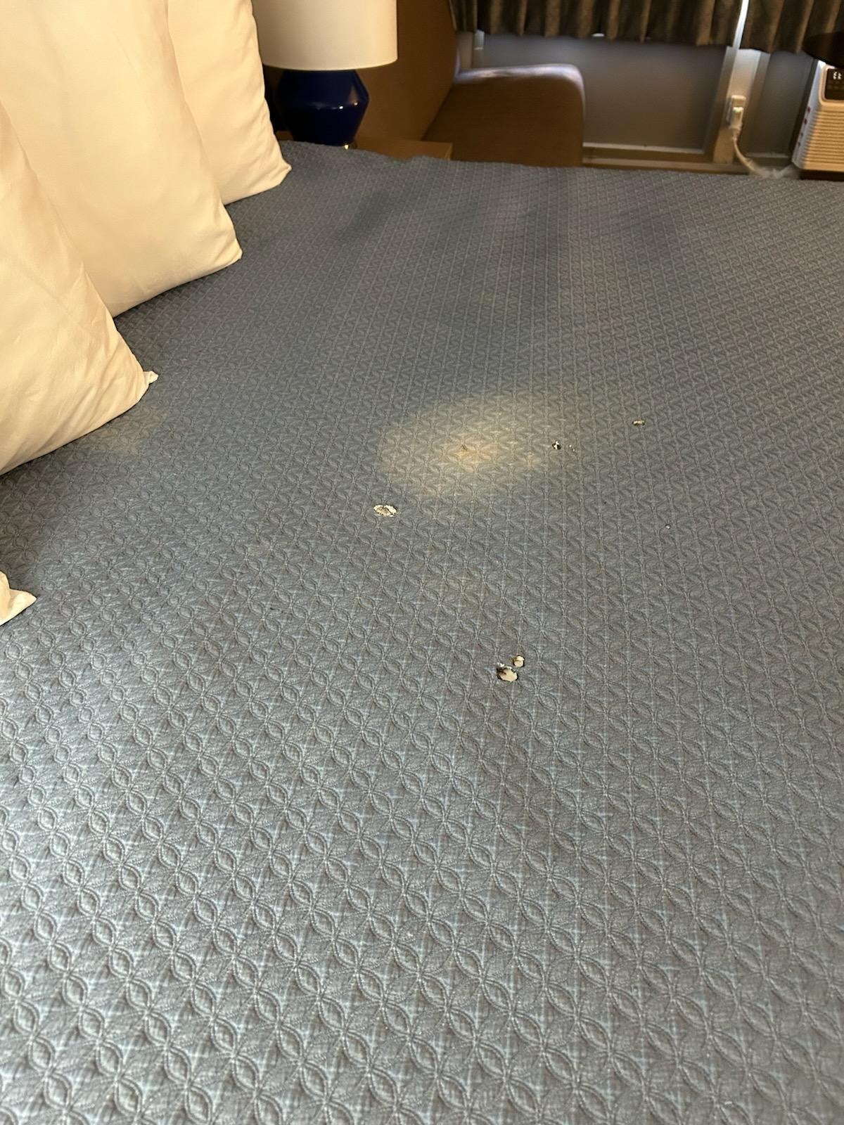 The bed comforter had burn marks and stains