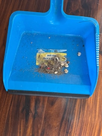 What was swept up off the floor