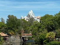 Expedition Everest at Disney’s Animal Kingdom