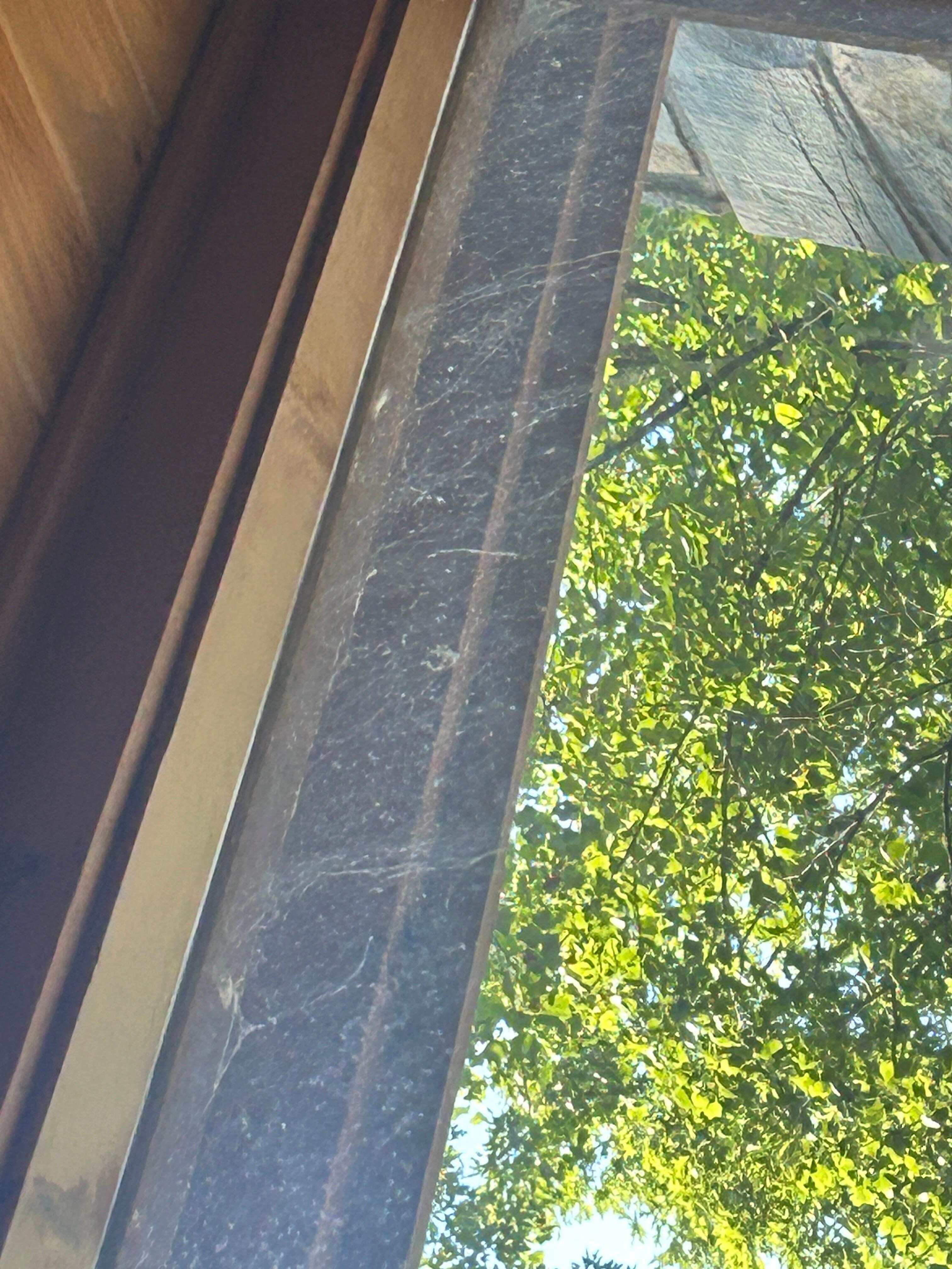 Outside living room window 