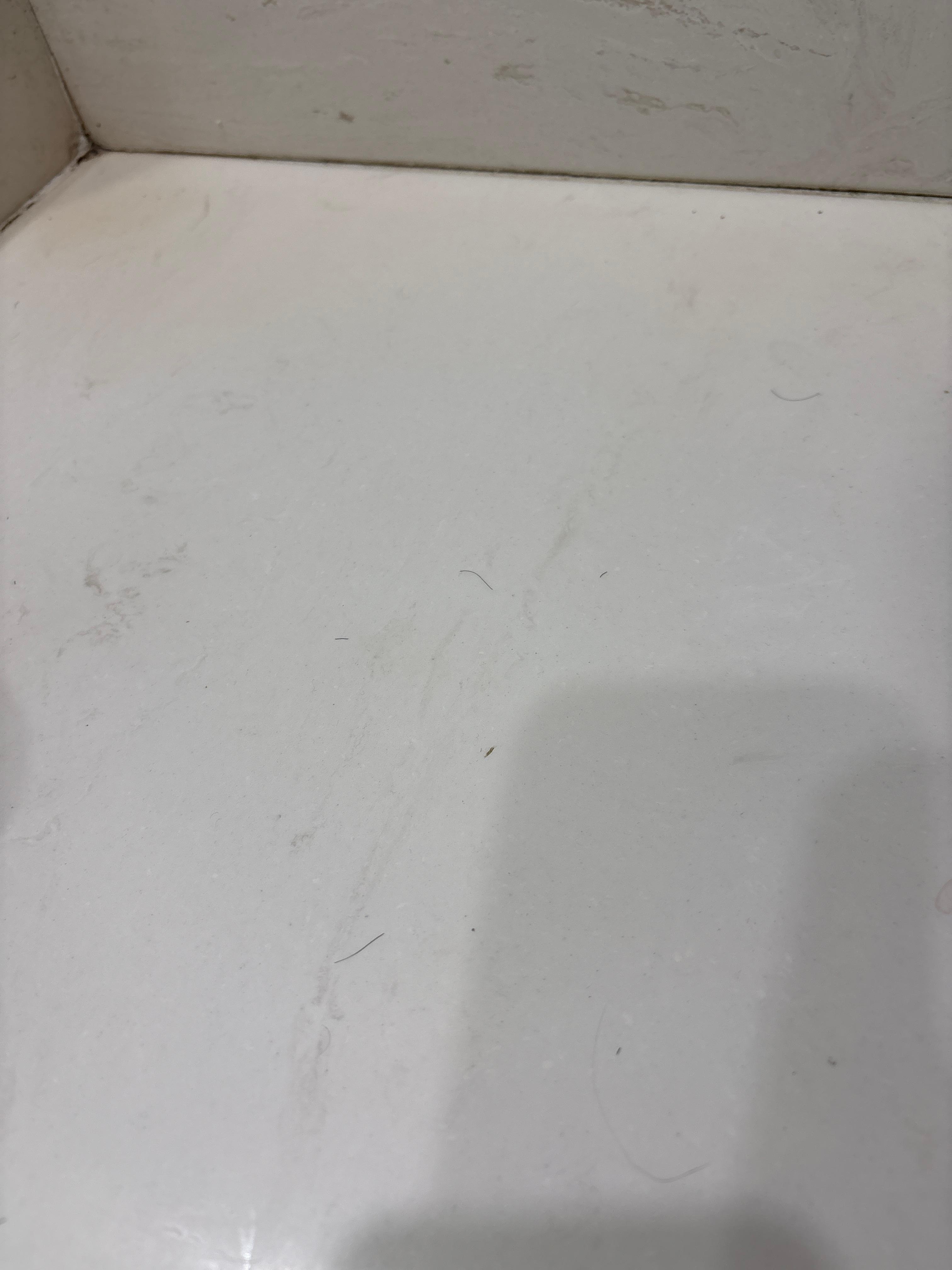 Hair found on bathroom counter 