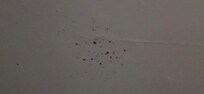 Blood splatter on ceiling