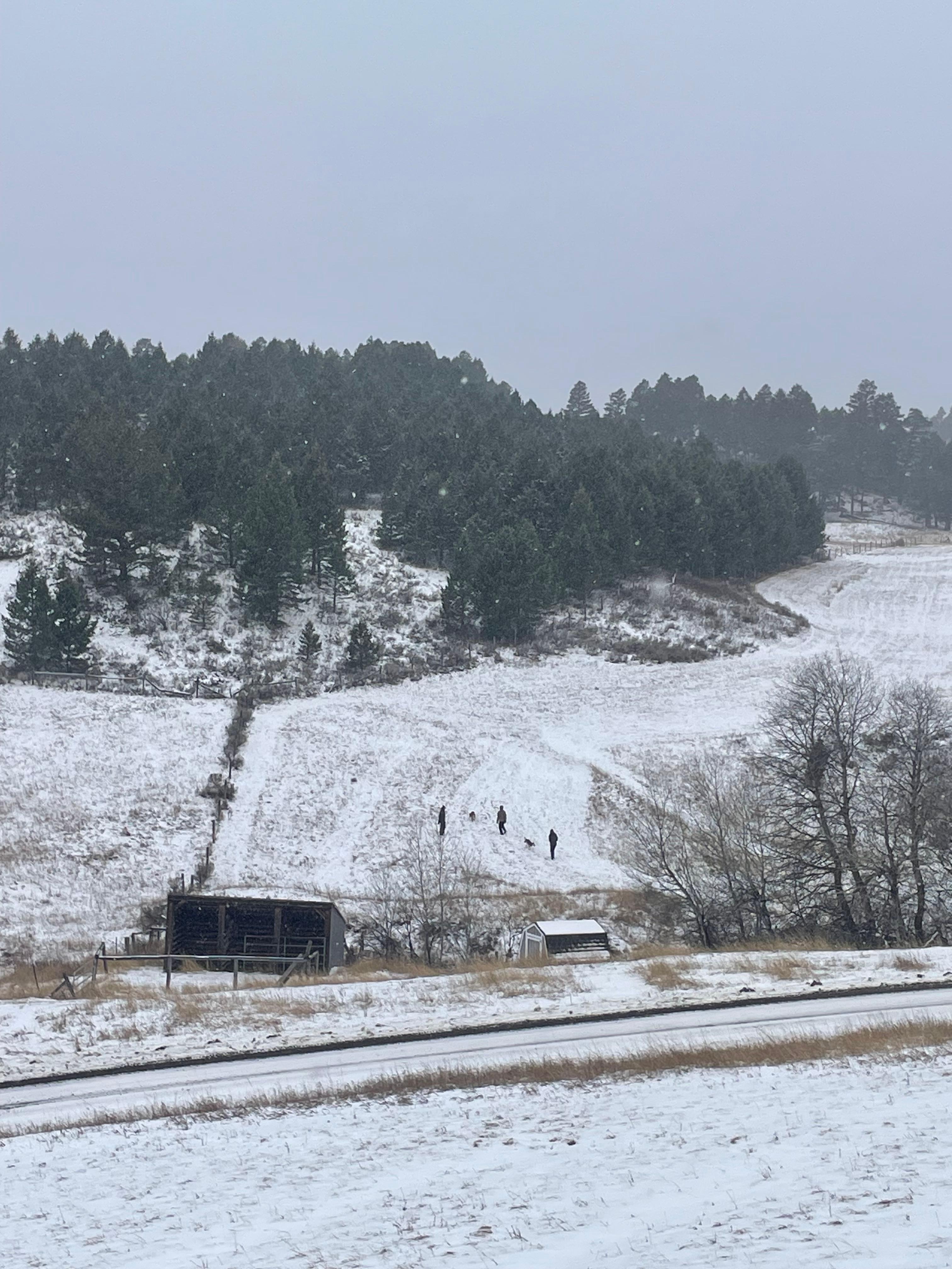 Snowy day going up the hill