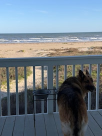 Our sweet girl enjoyed dinner with a view