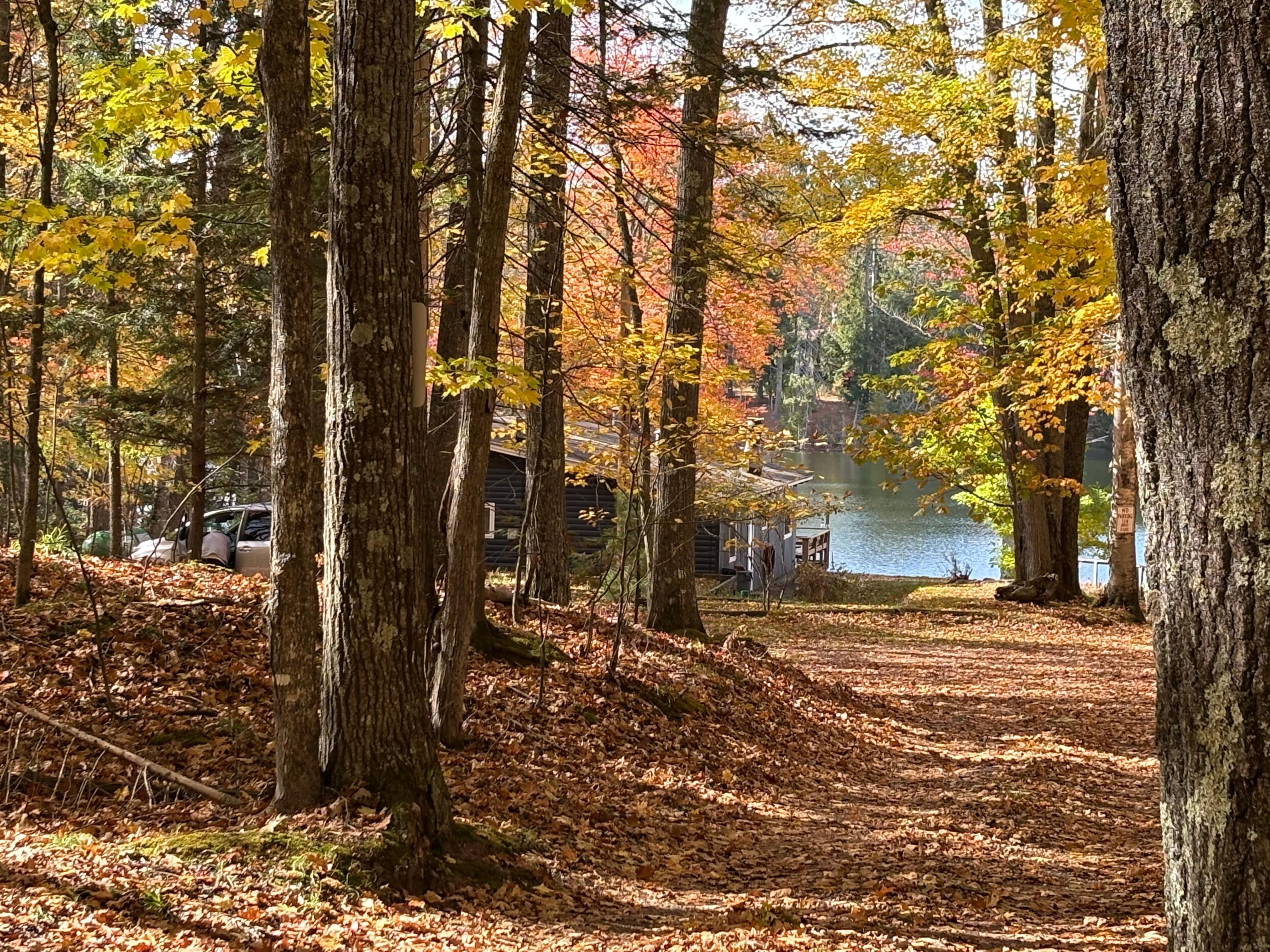Road into the cottage.  There is a turn around and good parking