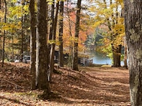 Road into the cottage. There is a turn around and good parking