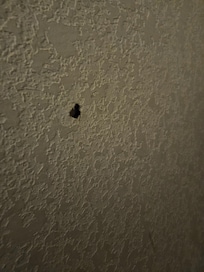 The holes in the wall