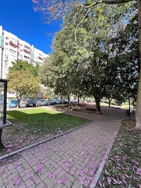 The park behind the apartment. The balcony is visible on the right next to the trees.
