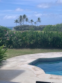 View from my sun-bed.