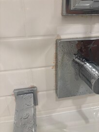 MOLD