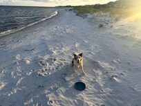 The sand was almost like snow. We did use a rake to rake some sea grass the would come up with the tide.