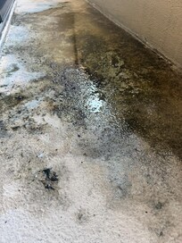 Black mold and water made the balcony impossible to use