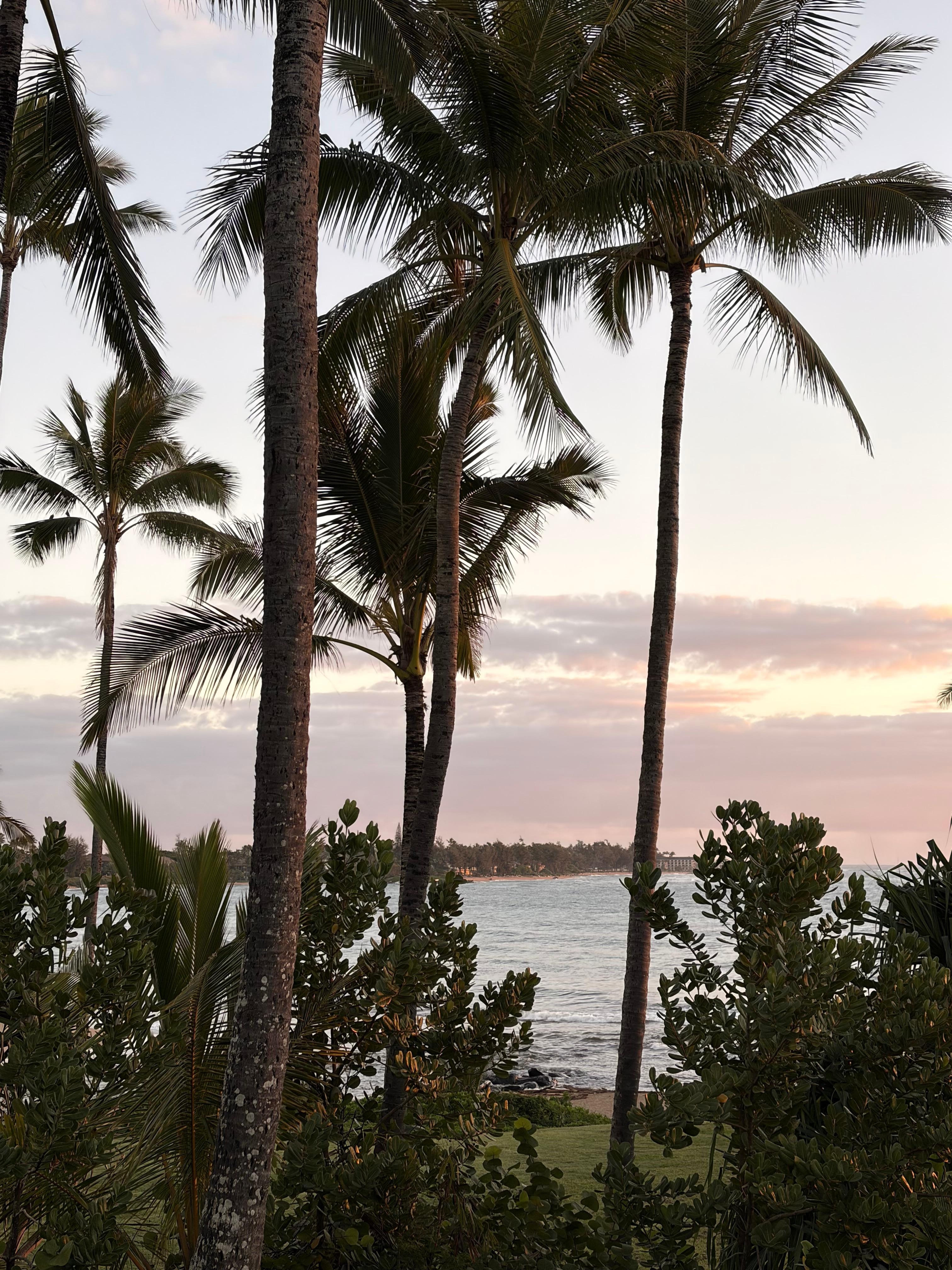 The ocean view from room 1335