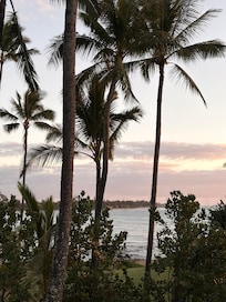 The ocean view from room 1335