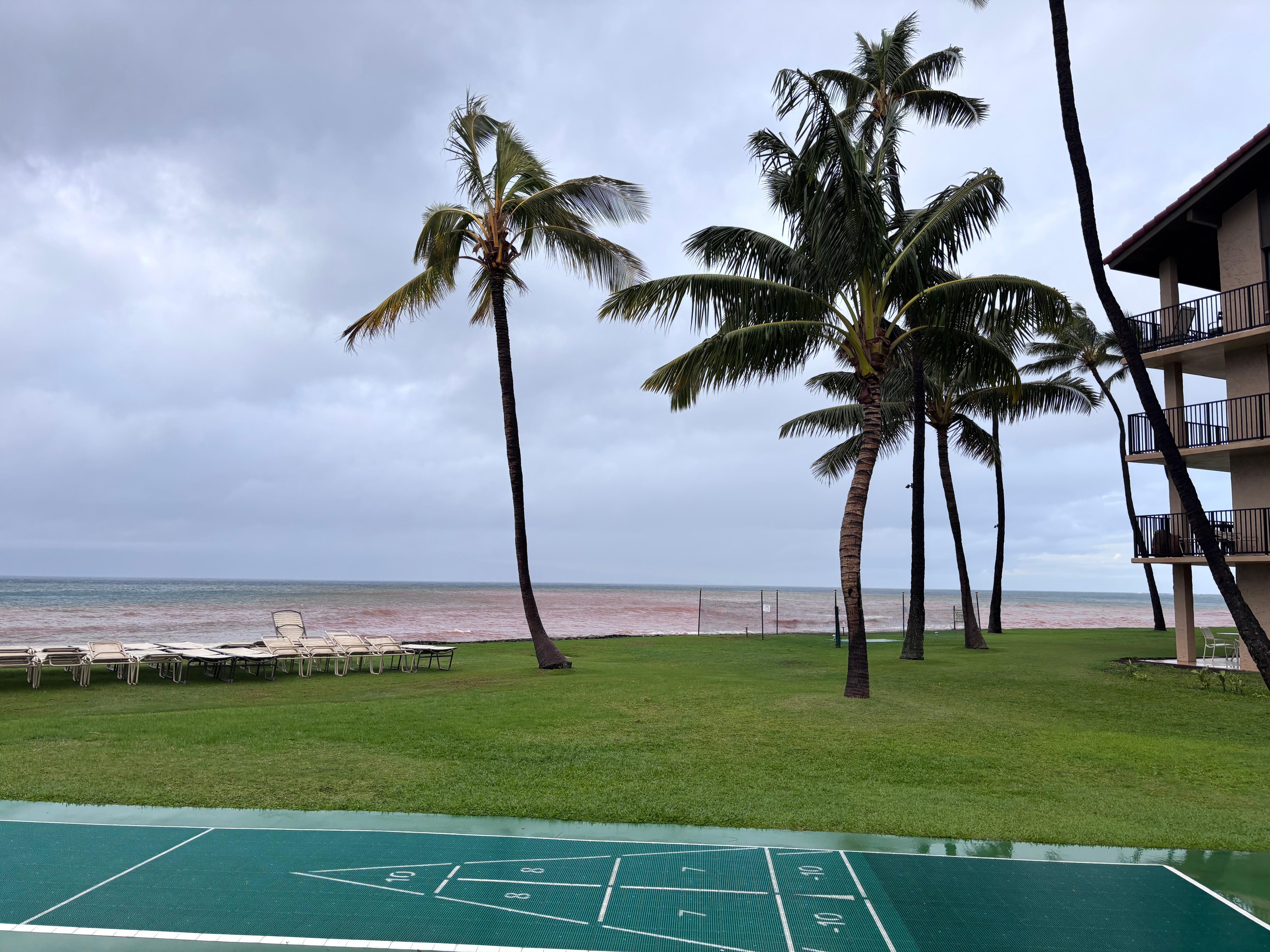 Shuffle board
Also golf putting on other side 