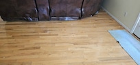 Some of the debris under couches