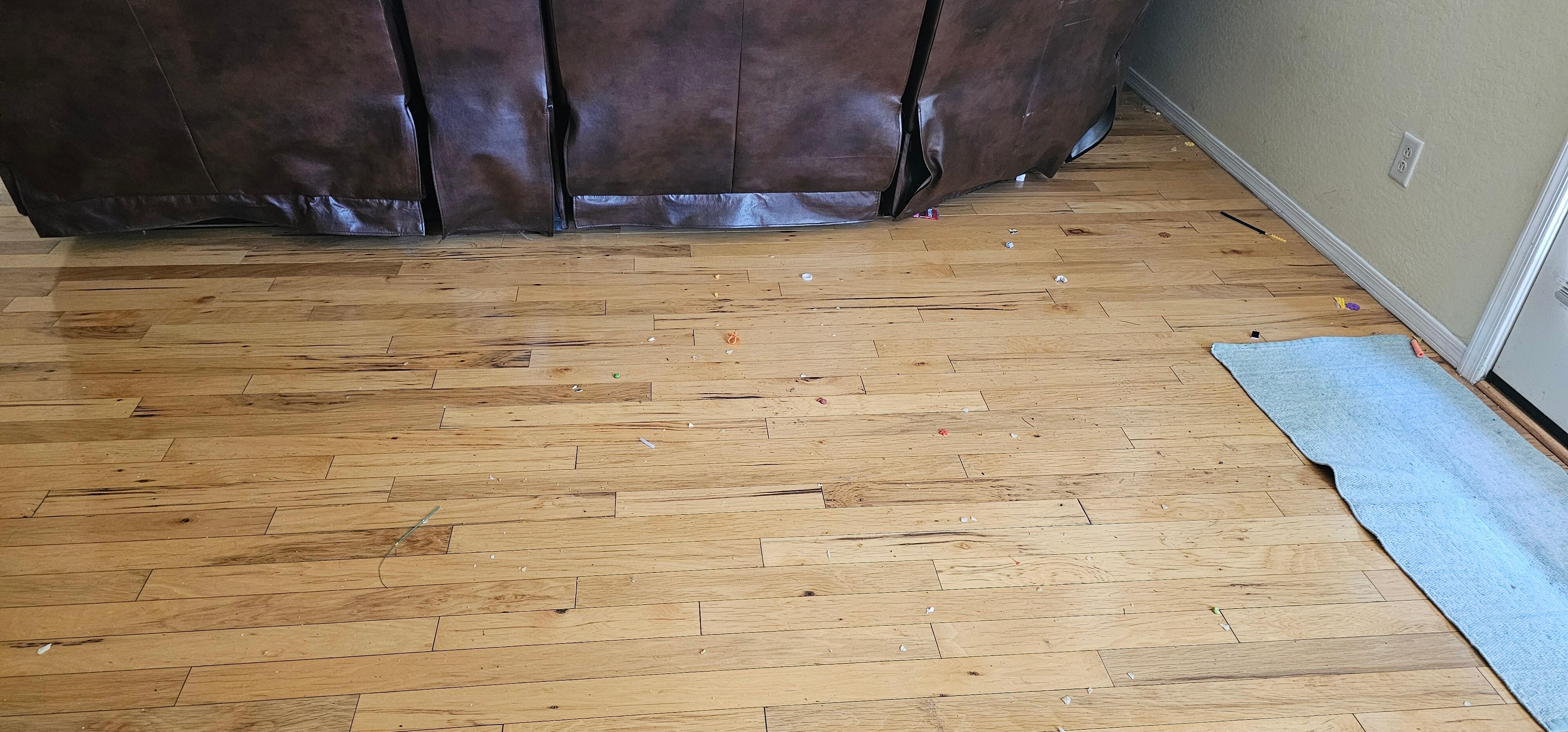 Some of the debris under couches 
