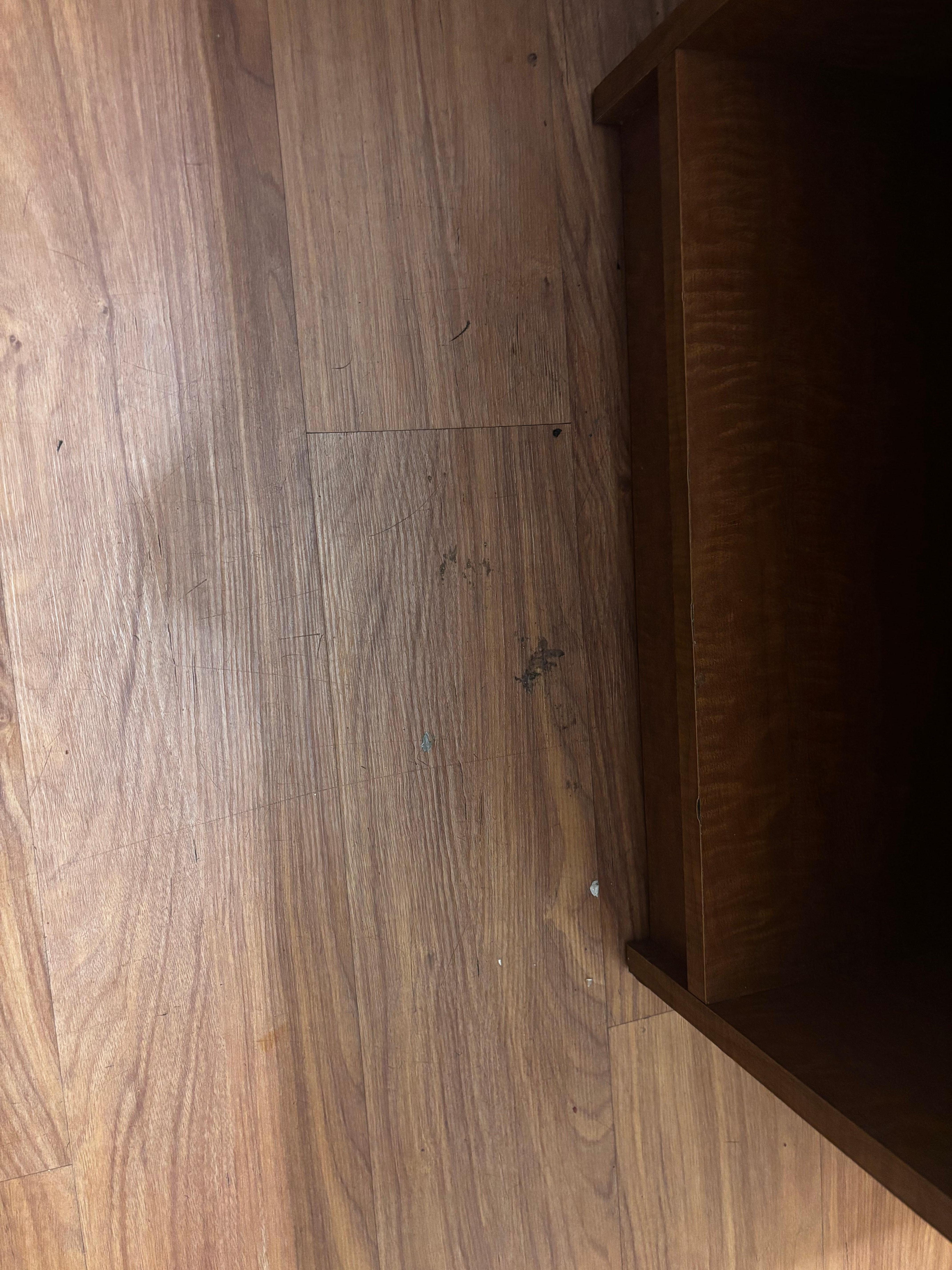 yummy dried stuff on floor. your guess is as good as mine