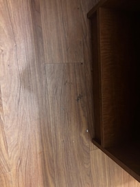 yummy dried stuff on floor. your guess is as good as mine