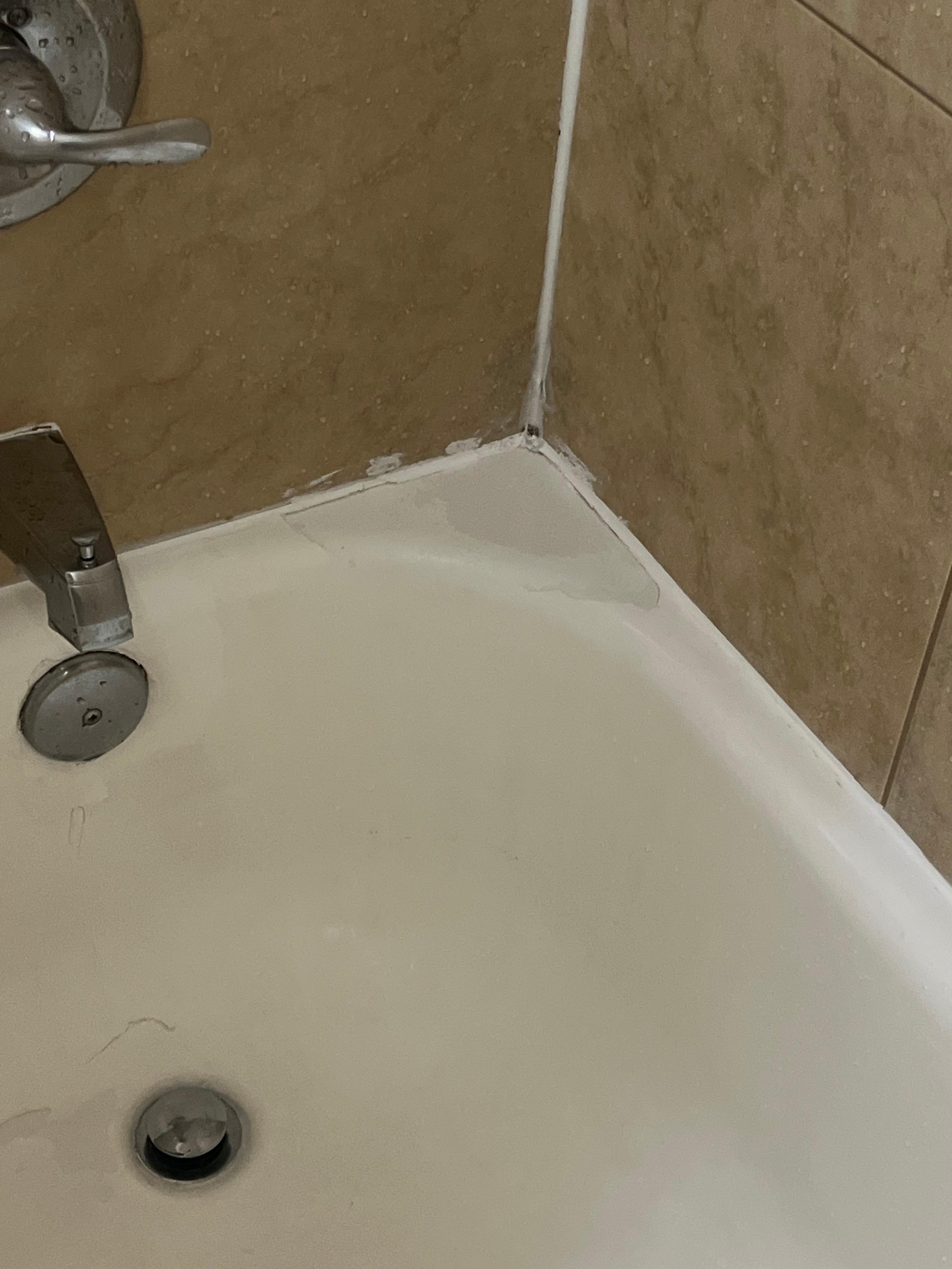 Tub needs replacing. Looked dirty and mold