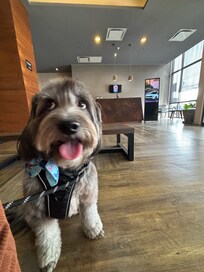 They’re pet friendly.