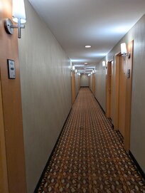 Felt very old with these colors. Way to much wall paper throughout the whole hotel