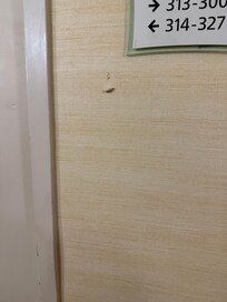 Gum stuck to the wall near the elevator for days