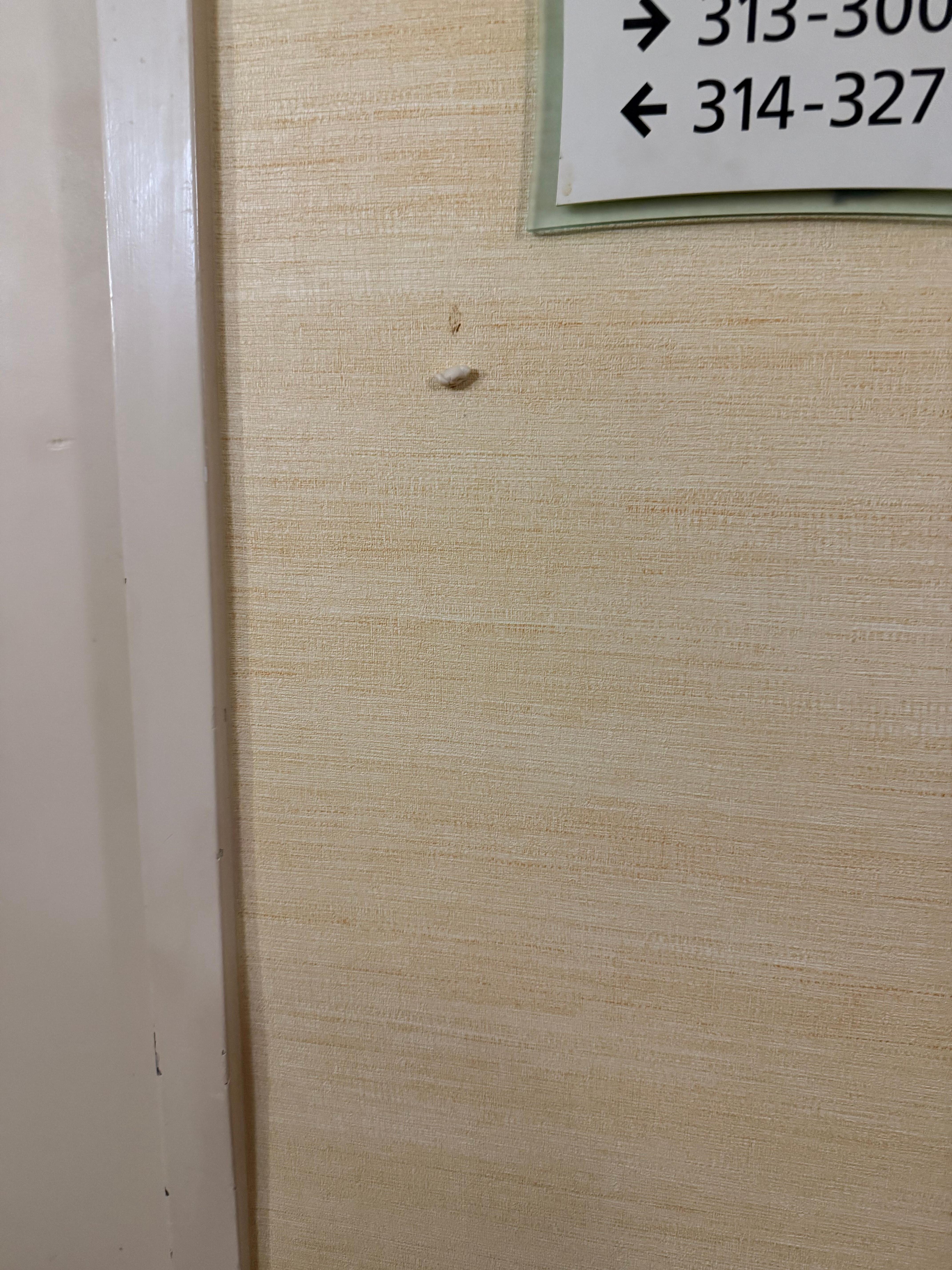 Gum stuck to the wall near the elevator for days