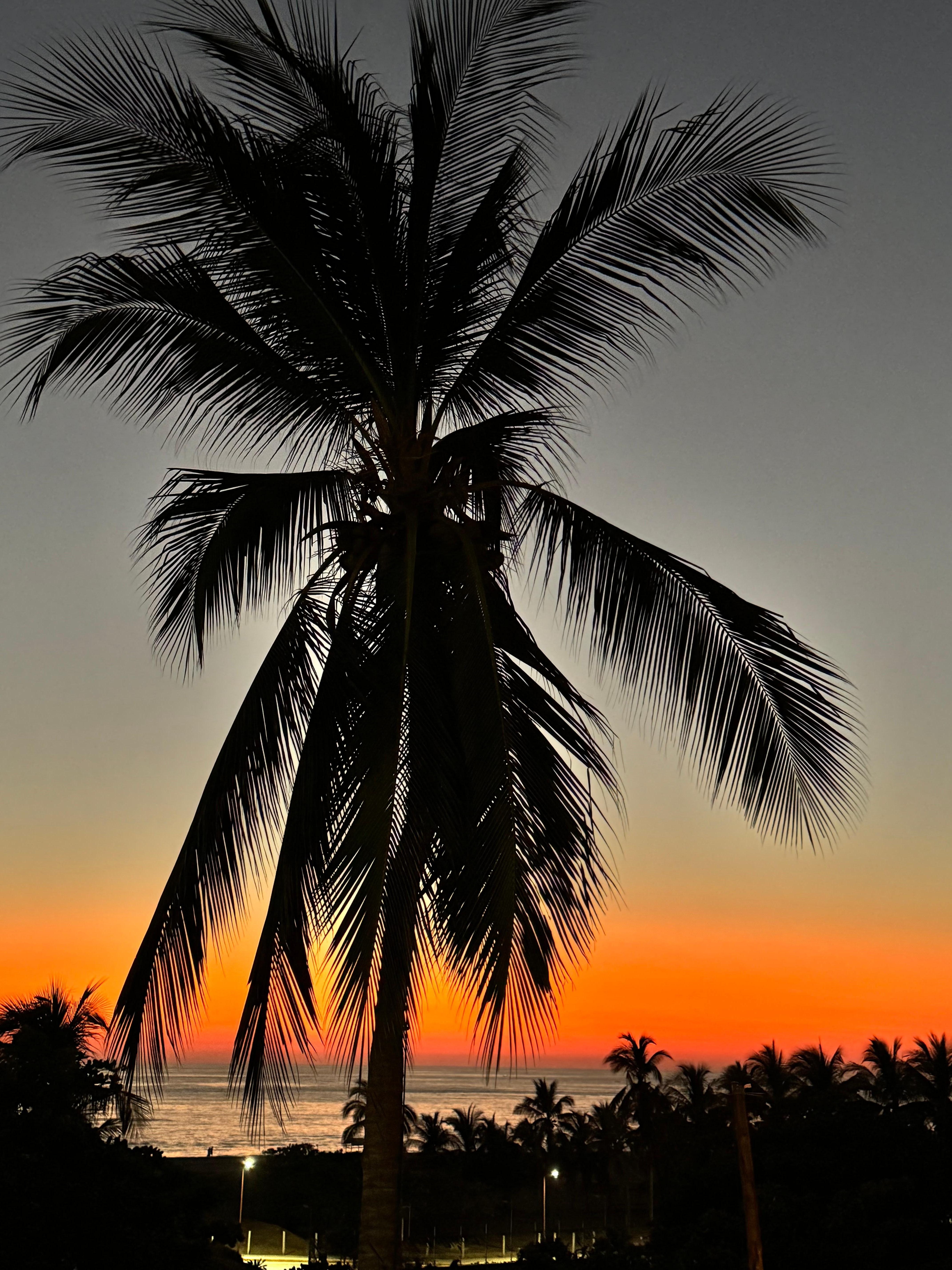 View from the apartment where I stayed 