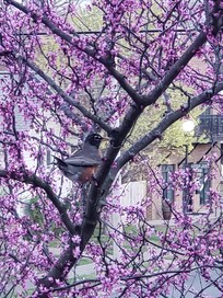 This was taken on the balcony of the Respite B&B!