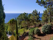 Blick von der Terrasse
