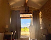 Aussicht vom Zimmer auf die Weinreben