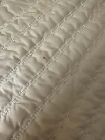 Small stains on bedding
