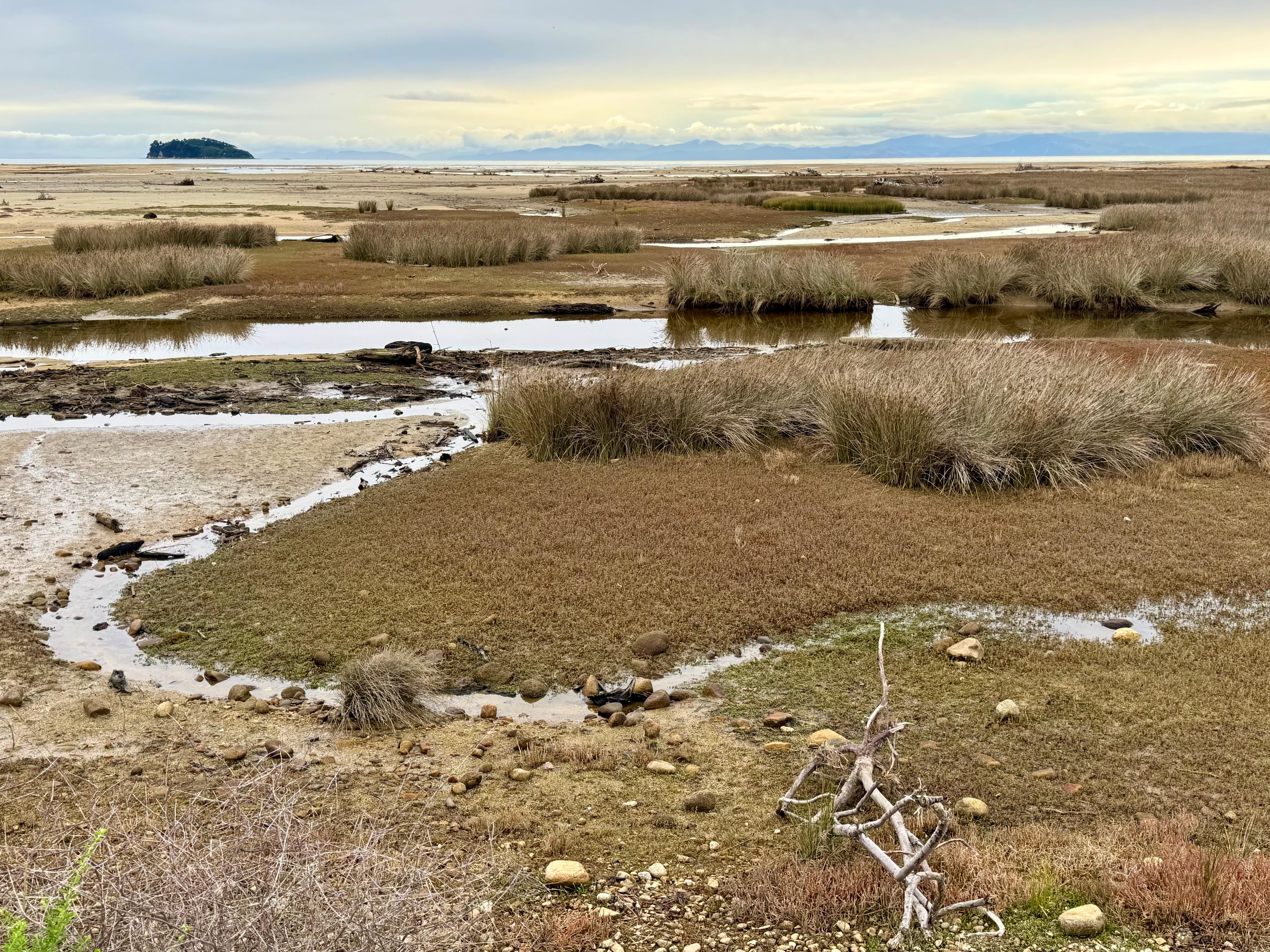 Marahau River Estuary