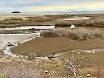 Marahau River Estuary