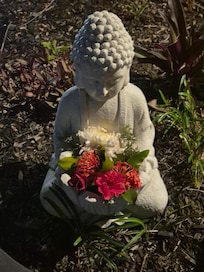 Peace