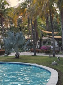 Main pool