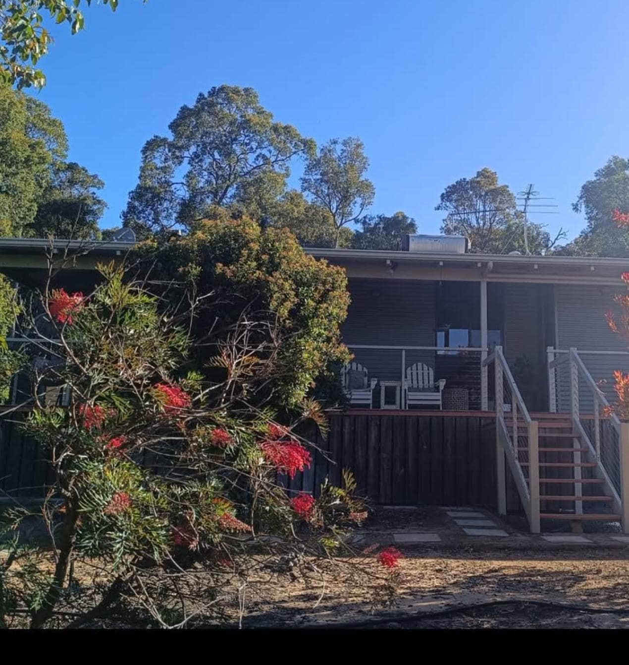 View of the cottage and garden 
