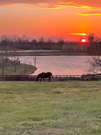 From the patio off the sunroom….