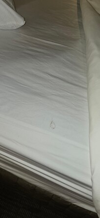 Hair on the bed, not my hair.