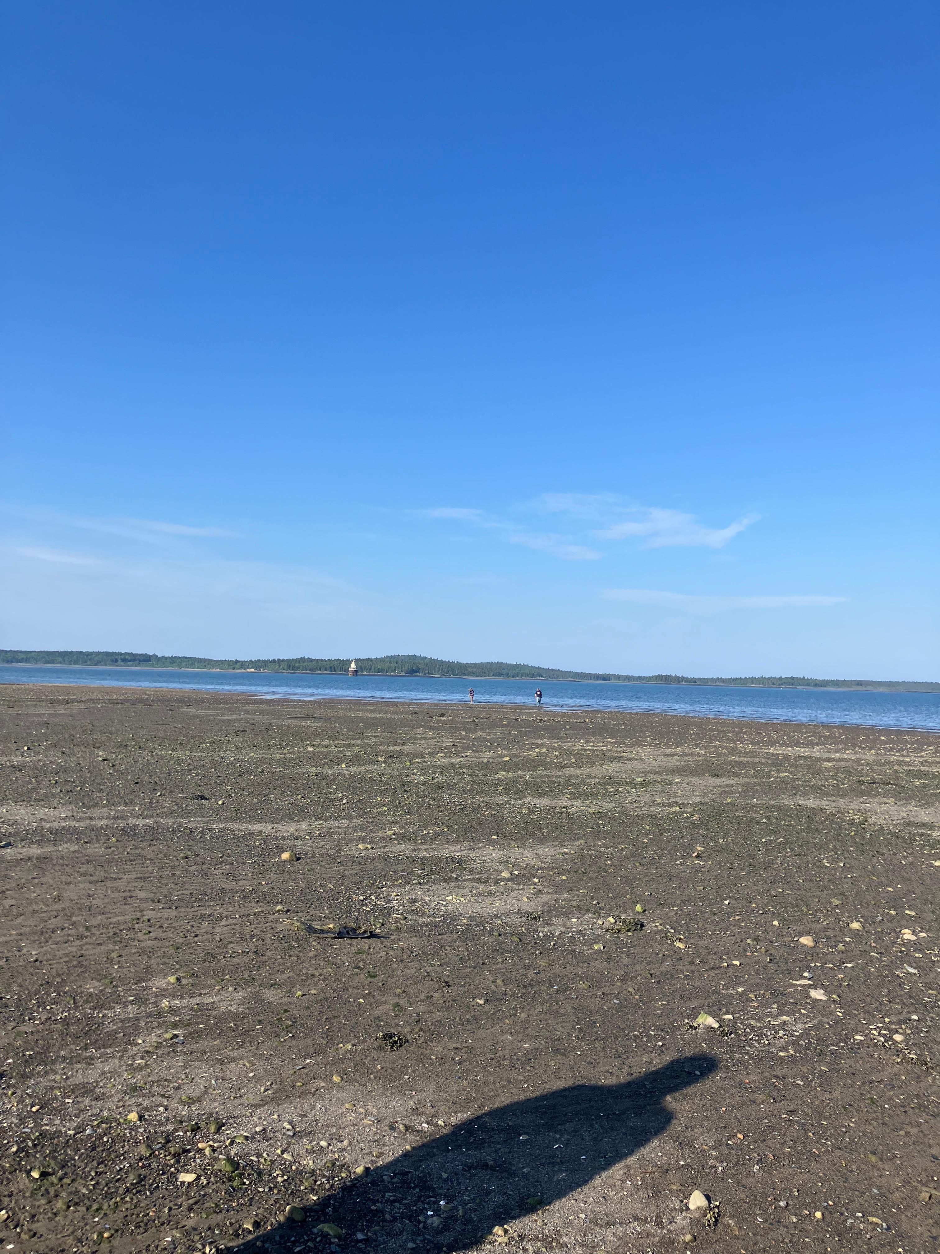 Low tide